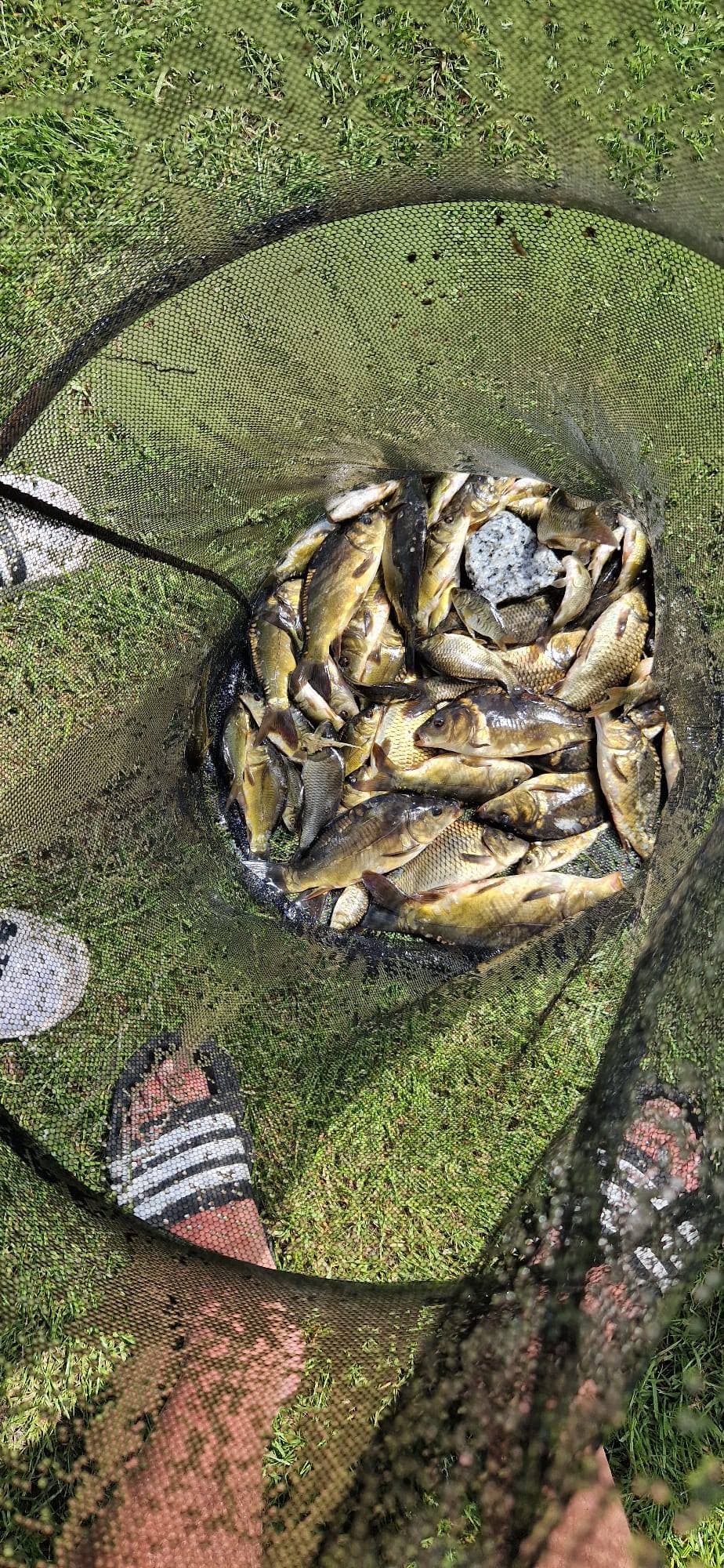 Połów na łowisku (1)